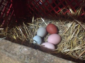 Jan 2nd download 2014 181