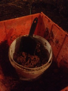 jan 9th download 2014 033