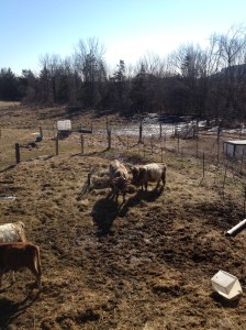 april 2 2014 download 591