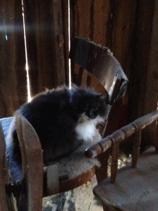 april 2 2014 download 609