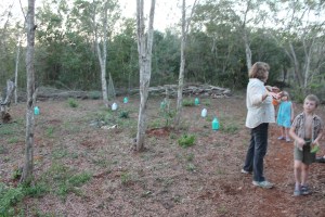 Landclearing technique, all brush cleared to sides to form 'fence' around paddock.